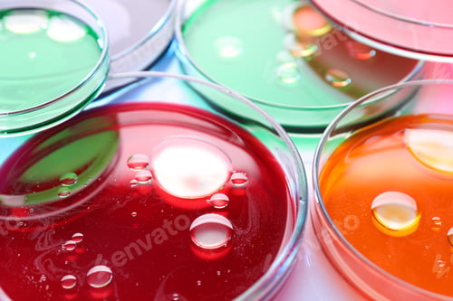 Preview: Biochemistry. Petri dishes with samples on table, closeup