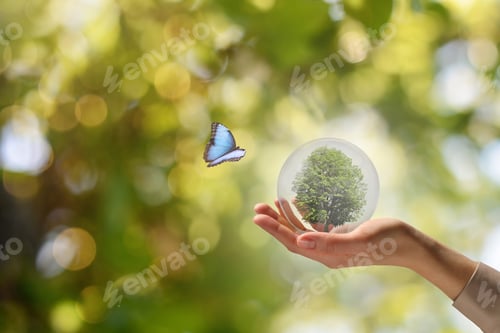 Preview: Woman holding crystal ball with tree inside against blurred green background, closeup. Butterfly fly