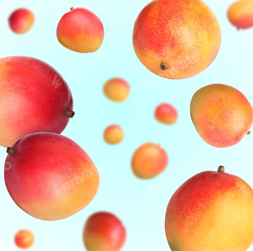 Preview: Sweet mango fruits swirling in air against light blue background