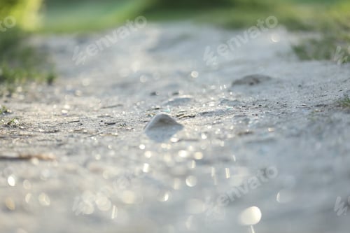 Preview: Ground against blurred green background, selective focus