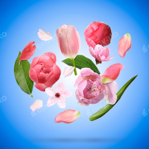 Preview: Beautiful spring flowers and petals in air against blue background
