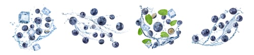 Preview: Fresh blueberries and water splashes in air on white background, set