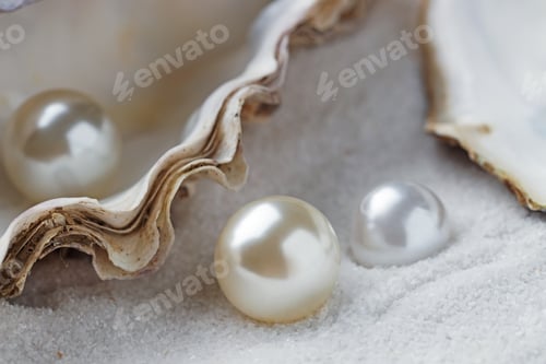 Preview: Oyster shell with pearls on sand, closeup