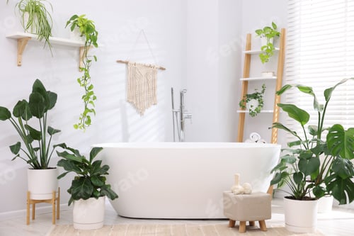 Preview: White bathtub, spa products and green houseplants in stylish bathroom. Interior design