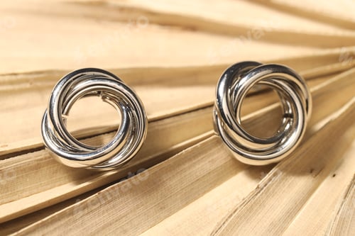 Preview: Shiny silver earrings on dry palm leaf, closeup