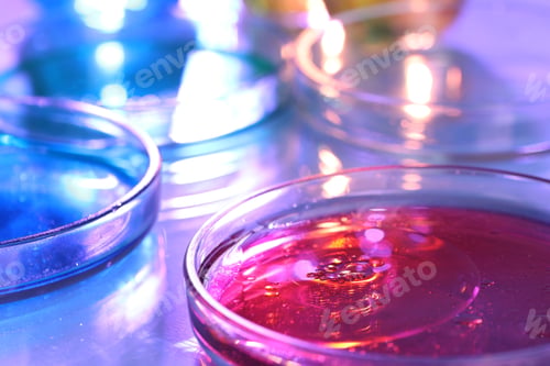 Preview: Petri dishes with liquid samples on light background, closeup