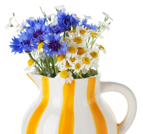 Preview: Beautiful wildflowers in jug isolated on white