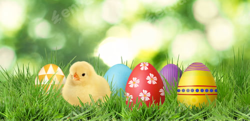 Preview: Easter eggs and cute fluffy chick in green grass outdoors