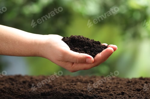 Preview: Woman with fresh soil on blurred background, closeup