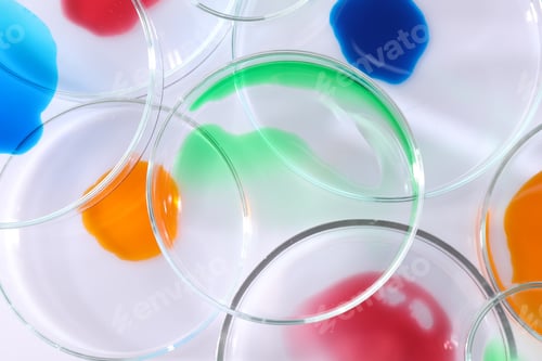 Preview: Biochemistry. Petri dishes with samples on white background, flat lay