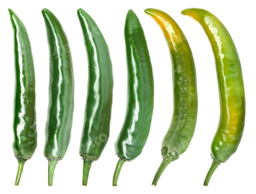 Preview: Green chili peppers isolated on white, set