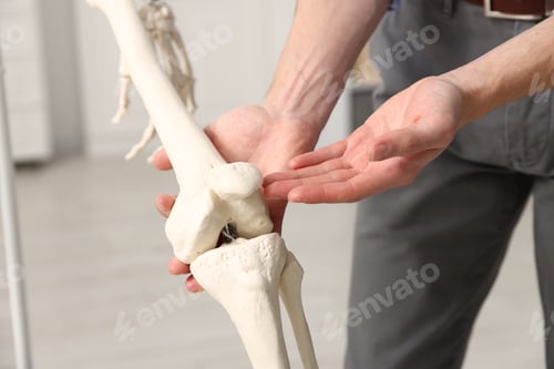 Preview: Teacher demonstrating human skeleton model in classroom, closeup. Anatomy lesson