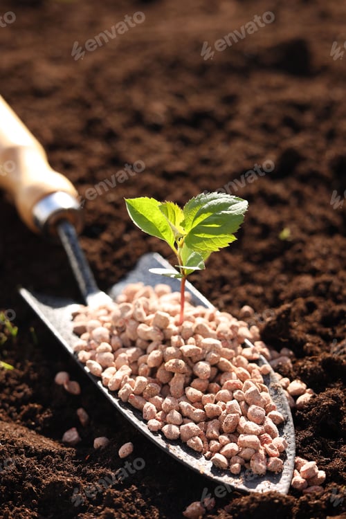 Preview: Shovel with fertilizer and seedling on soil, closeup