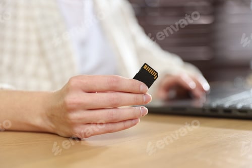 Preview: Woman with SD card working on laptop at desk, closeup