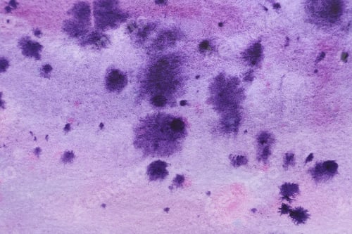Preview: Abstract purple watercolor painting on paper, top view