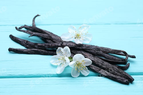 Preview: Vanilla pods and flowers on light blue wooden table, closeup