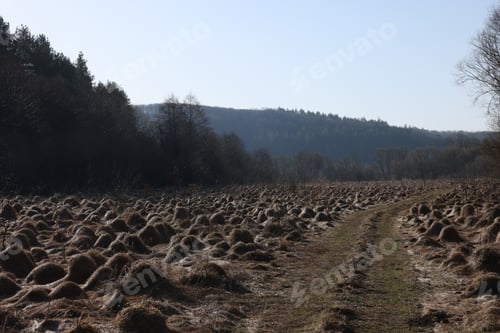 Preview: View of muddy road, forest and mountain