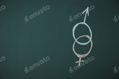 Preview: Sex Education. Gender symbols drawn on green chalkboard, space for text
