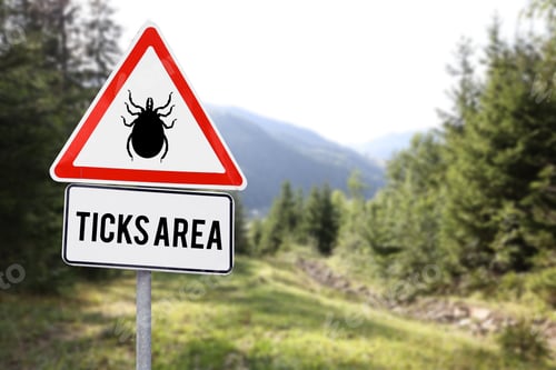 Preview: Ticks Area warning sign in mountain forest. Seasonal danger in nature