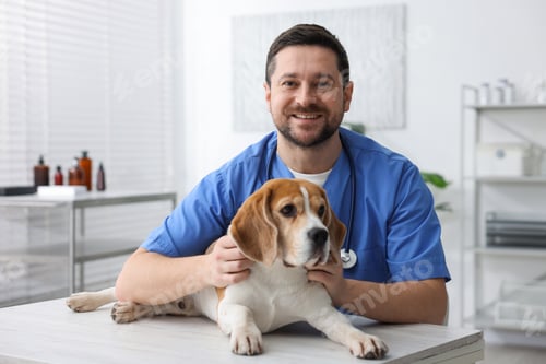 Preview: Portrait of smiling veterinarian in scrubs with cute dog at light wooden table in clinic