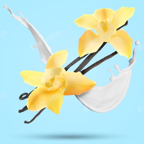 Preview: Vanilla pods, flowers and milk splash in air on light blue background