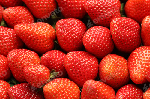 Preview: Many fresh ripe strawberries as background, closeup