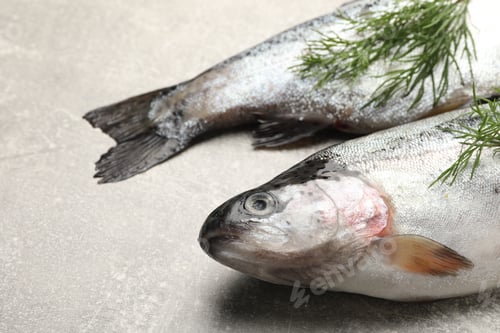 Preview: Raw trout fish and dill on grey table, closeup. Space for text