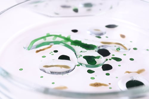 Preview: Biochemistry. Petri dish with samples on white background, closeup