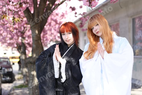 Preview: Beautiful young girls in kimonos posing near blossoming sakura trees outdoors