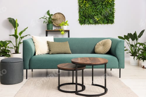 Preview: Stylish room interior with different potted houseplants