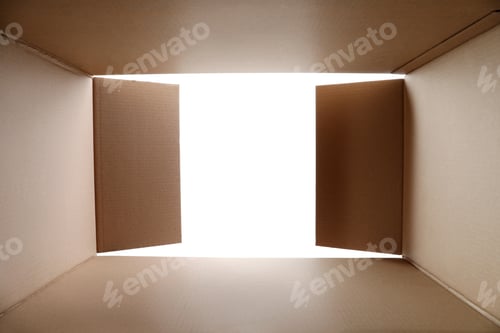 Preview: Open cardboard box against white background, view from inside package