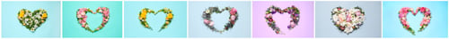 Preview: Heart frames made of flowers on colorful backgrounds, set. Top view