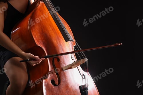 Preview: Woman playing double bass on black background, closeup