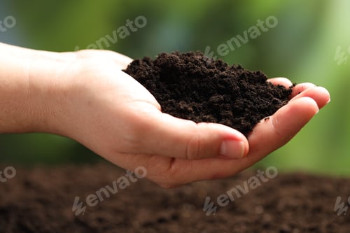 Preview: Woman with fresh soil on blurred background, closeup