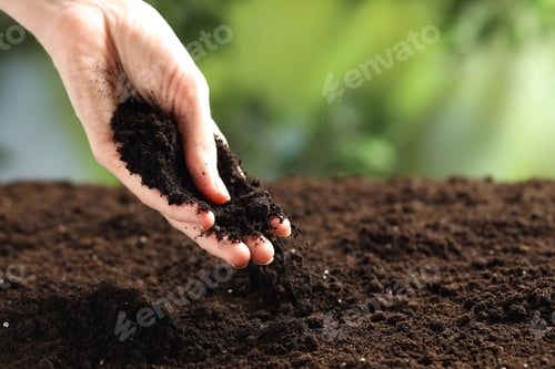 Preview: Woman with fresh soil on blurred background, closeup
