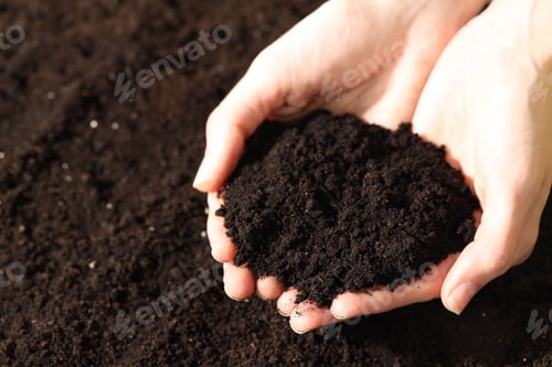 Preview: Woman with pile of fresh soil, closeup