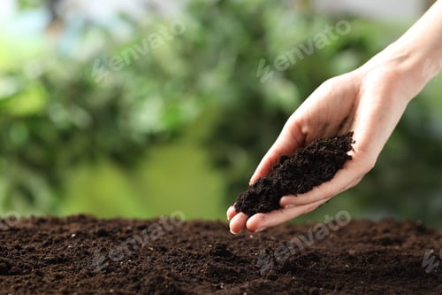 Preview: Woman with fresh soil on blurred background, closeup