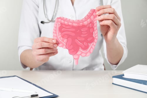 Preview: Doctor with paper intestine cutout at wooden table, closeup