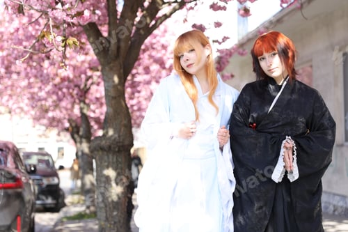 Preview: Beautiful young girls in kimonos posing near blossoming sakura trees outdoors. Space for text