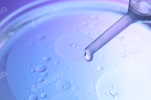 Preview: Dripping liquid from pipette into Petri dish on color background, closeup