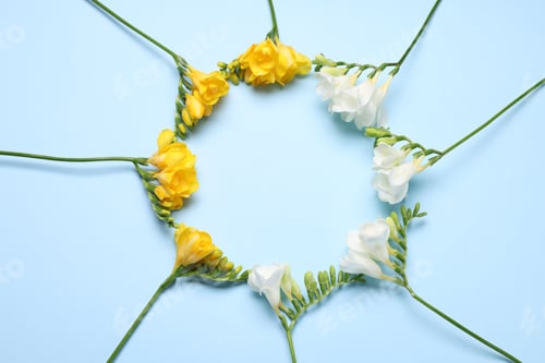Preview: Frame of bright freesia flowers on light blue background, flat lay. Space for text
