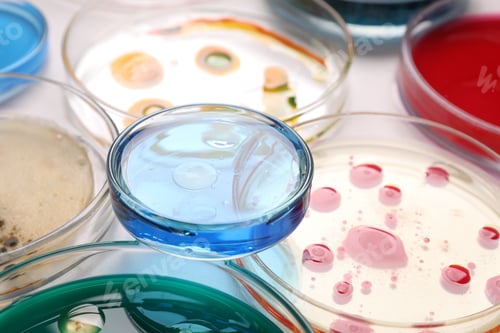 Preview: Biochemistry. Petri dishes with samples on table, closeup