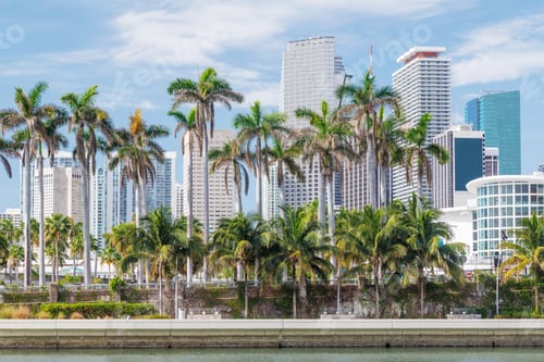 Preview: Modern skyline of Miami with towering skyscrapers, tropical vibe, and waterfront views