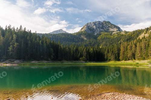 Preview: Calm lake with forest reflection under blue sky