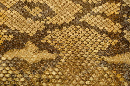 Preview: Golden reptile leather texture close up with snakeskin scale pattern and glossy fashion surface