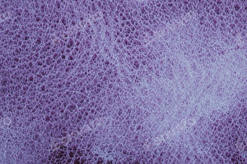 Preview: Close up of purple sponge surface texture showing intricate pores and fibers for background use