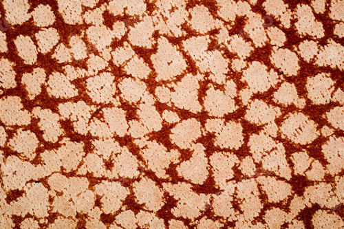 Preview: Macro shot of textured material surface with organic design