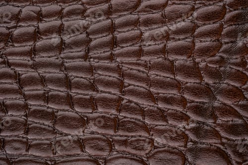 Preview: Dark brown leather texture close up, glossy reptile surface pattern for abstract background