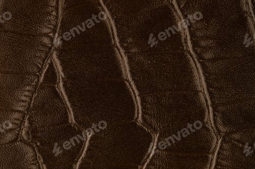 Preview: Close up of reptile skin texture in brown for backgrounds