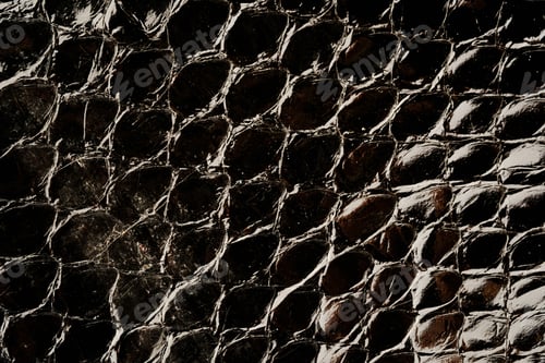 Preview: Dark exotic reptile leather texture with glossy python scales for luxury fashion background